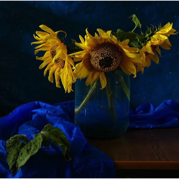 Welcome to the Robin's Nest - Picture 1 of 16